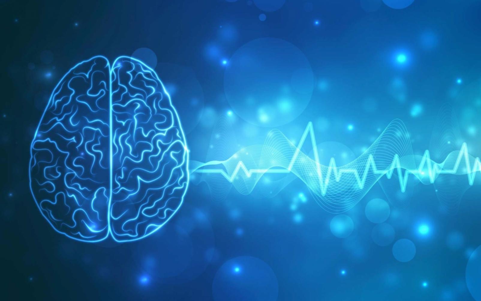 Projektabschluss und Zertifizierung